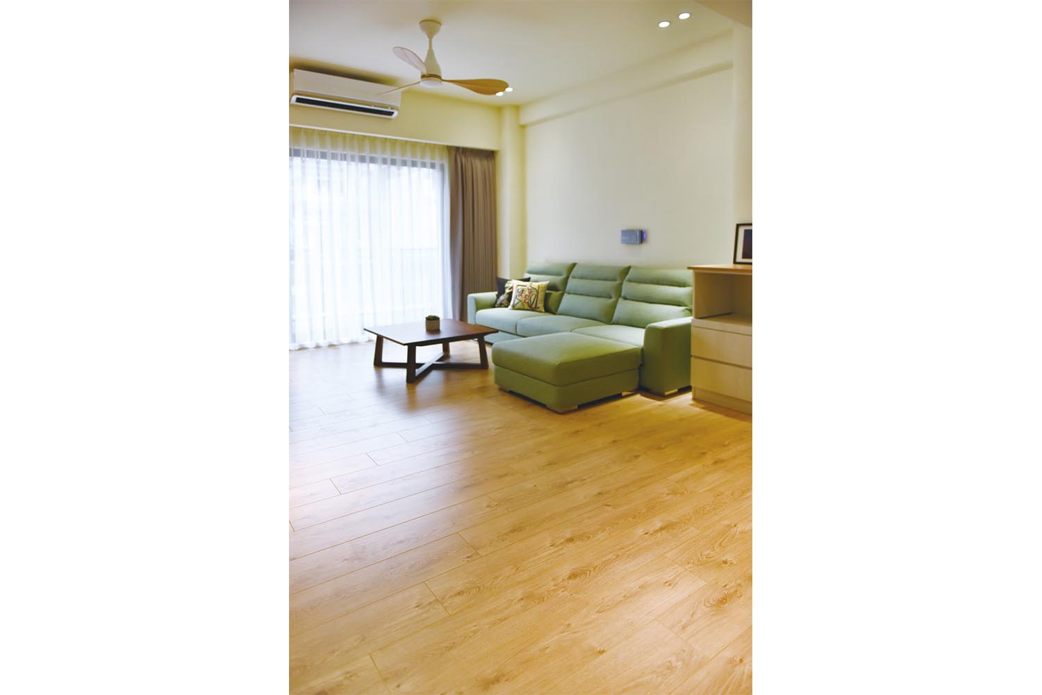直立拍攝淺綠色現代沙發與柚木茶几