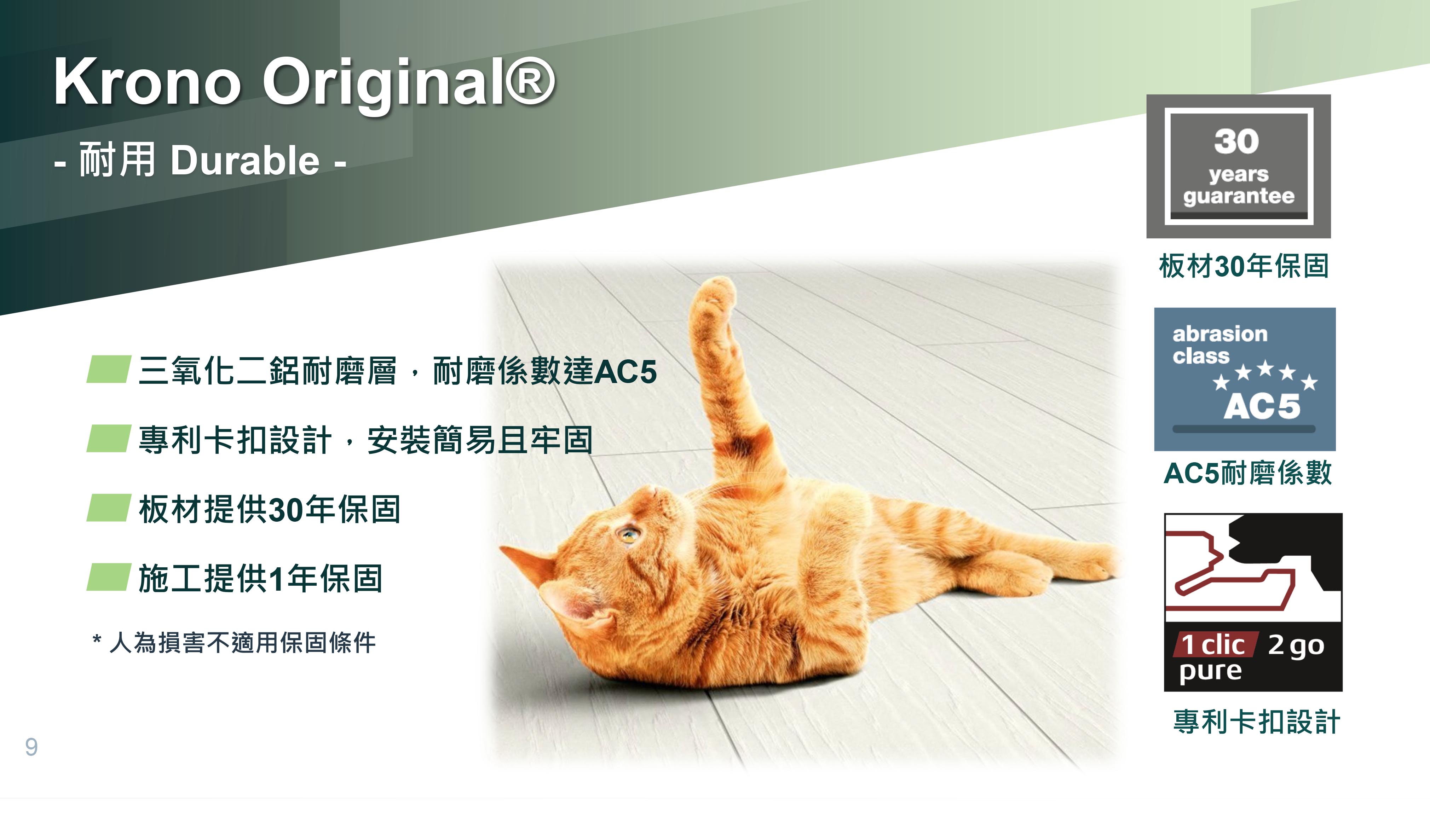 奧爾雅蜜橡-窄版