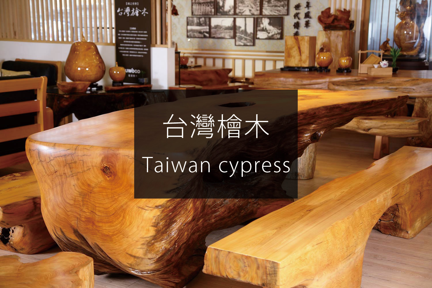 台灣檜木聚寶盆黃金磚桌板檜木香